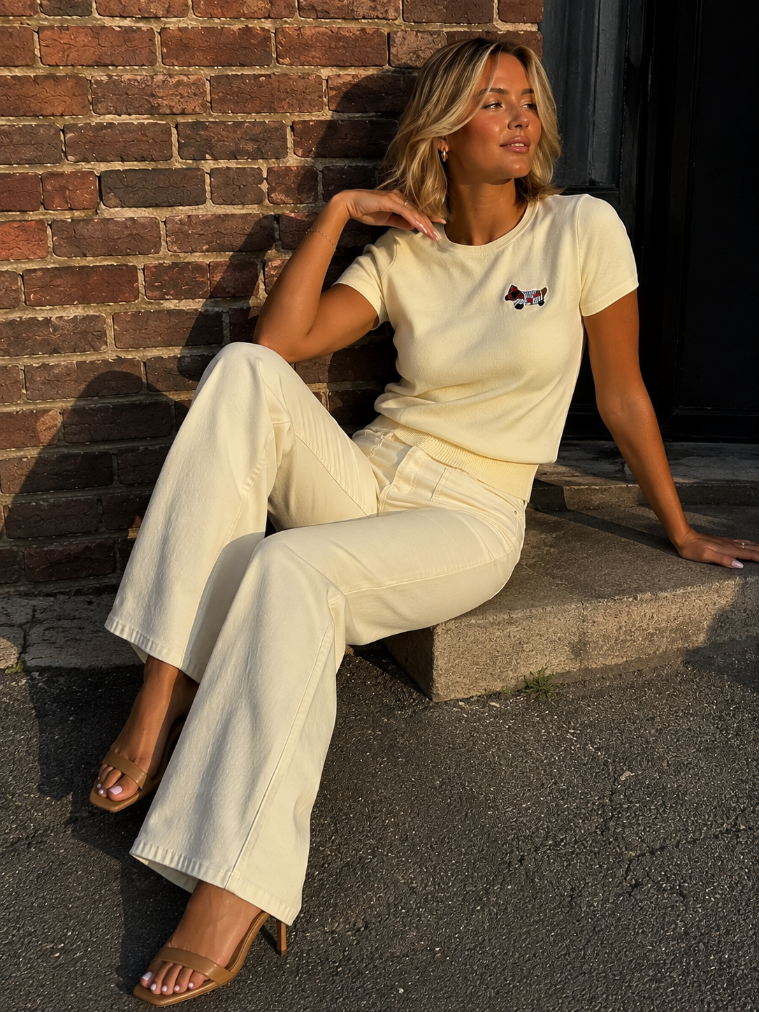 T-shirt Teckel jaune